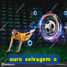 ouro selvagem o que aconteceu na vida